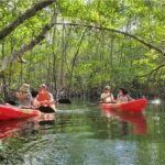 Nusa Dua: Suwung Mangrove Glass Bottom Boat Tour - Who Will Love This Tour?