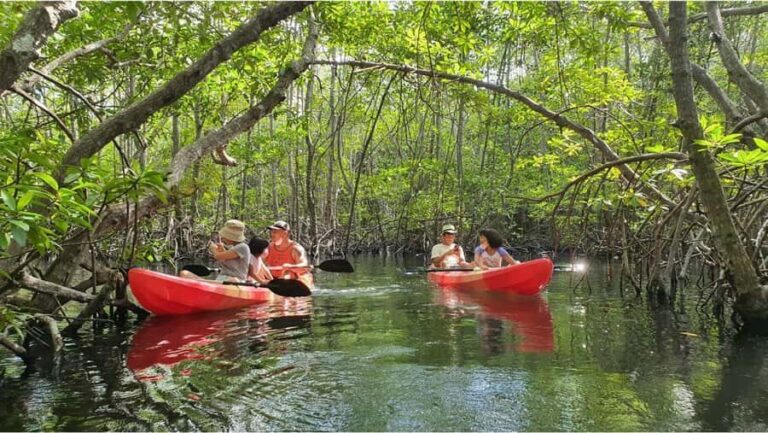Nusa Dua: Suwung Mangrove Glass Bottom Boat Tour - Who Will Love This Tour?