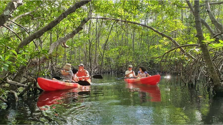 Nusa Dua: Suwung Mangrove Glass Bottom Boat Tour - Who Will Love This Tour?