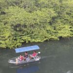 Nusa Dua: Suwung Mangrove Glass Bottom Boat Tour - Discovering the Suwung Mangrove Forest