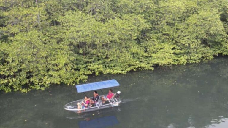 Nusa Dua: Suwung Mangrove Glass Bottom Boat Tour - Discovering the Suwung Mangrove Forest