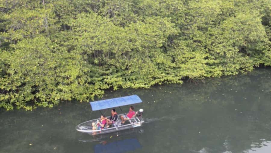 Nusa Dua: Suwung Mangrove Glass Bottom Boat Tour - Discovering the Suwung Mangrove Forest