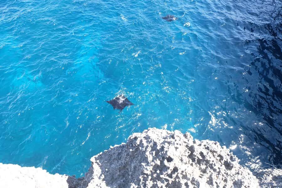 Nusa Penida: Private Car with Driver & Opt Fastboat Tickets - Transport & Logistics: Comfort and Convenience