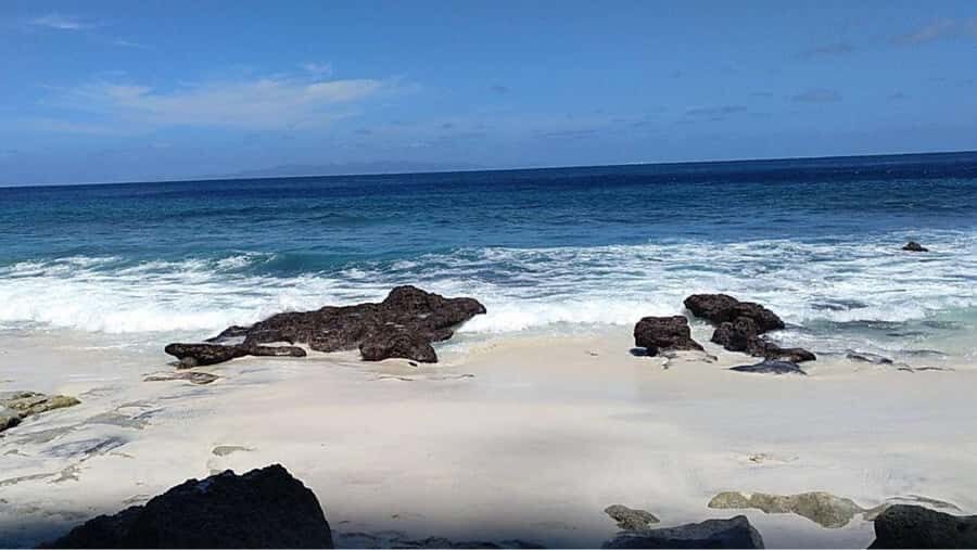 Nusa Penida: Sampalan, Suwehan, and Tembeling Tour - The Practicalities: What to Expect