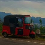 Nuwara Eliya City Tours Tuktuk - Practical Details and Experience