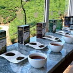 Nuwara Eliya to Kandy: Transfer with Waterfall & Tea Tour - Who Should Consider This Tour?