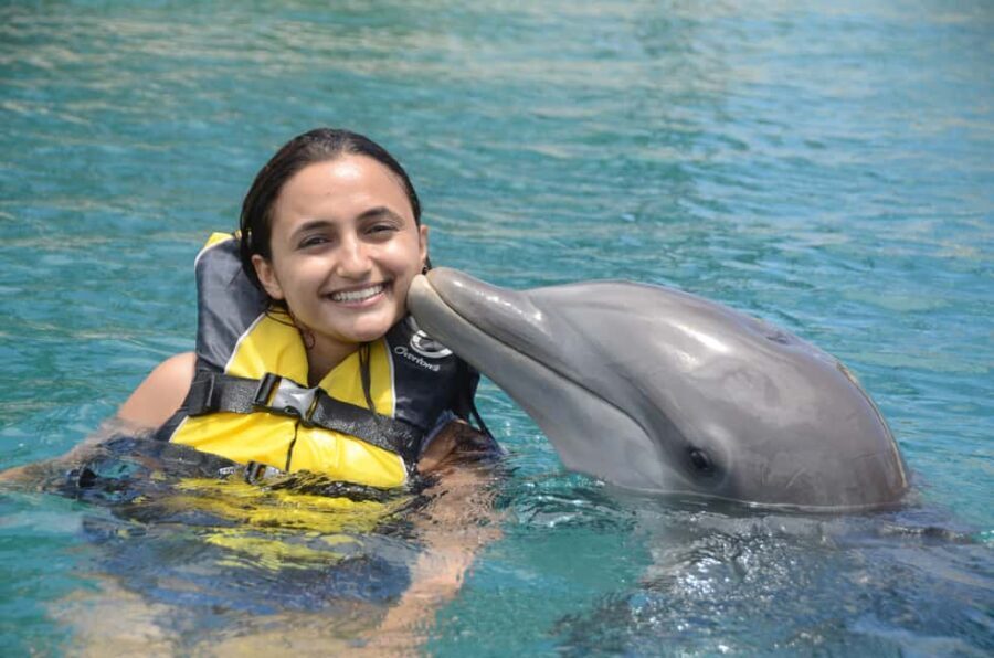 Ocean World Dolphin Swim & Sea Lion Combo from Puerto Plata - Detailed Breakdown of the Experience