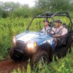 Off Road Buggy Adventure - The Ride in Detail: What to Expect