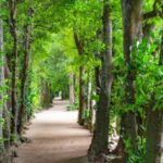 Okinawa: Churaumi Aquarium, Manzamo, Kouri Island Tour - The Practicalities