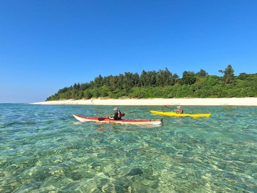 Okinawa: Kayak Mangroves & Ocean Native-English Private Tour - Who Will Love This Tour?