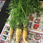 Okinawa: Market Tour and Cooking Class with a Chef - Transportation, Group Size, and Practical Considerations