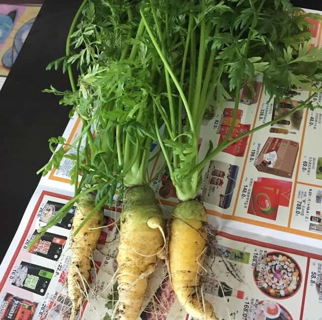 Okinawa: Market Tour and Cooking Class with a Chef - Transportation, Group Size, and Practical Considerations