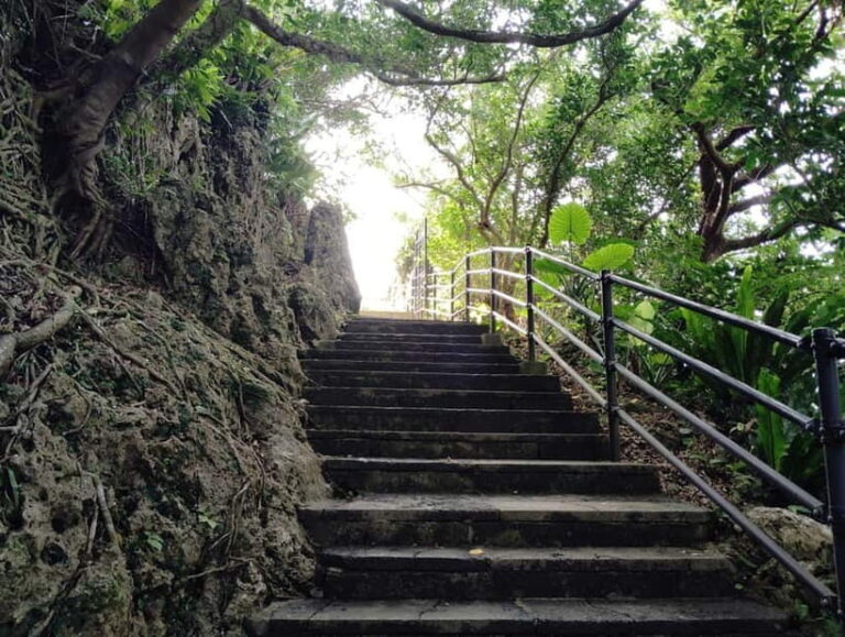 Okinawa: Urasoe Castle, Royal Tomb & War History Walk - Practical Details and Tips for the Tour