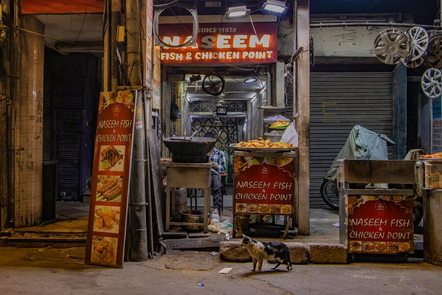Night scene of a street food stall in Old Delhi with a vendor and cart