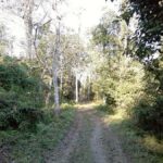 One Day in Tezpur: A Cultural and Scenic Escape - What Makes this Tour Stand Out?