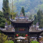 One-Day Tour: Dujiangyan, Mount Qingcheng, Panda Valley - Alternative Route: Panda Valley & Dujiangyan