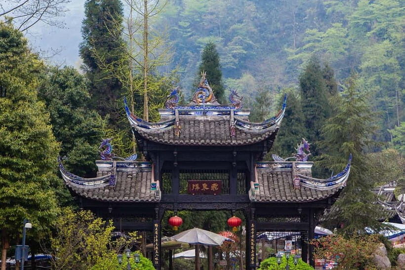 One-Day Tour: Dujiangyan, Mount Qingcheng, Panda Valley - Alternative Route: Panda Valley & Dujiangyan