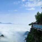 One day tour of Zhangjiajie National Forest Park - Why This Tour Offers Value