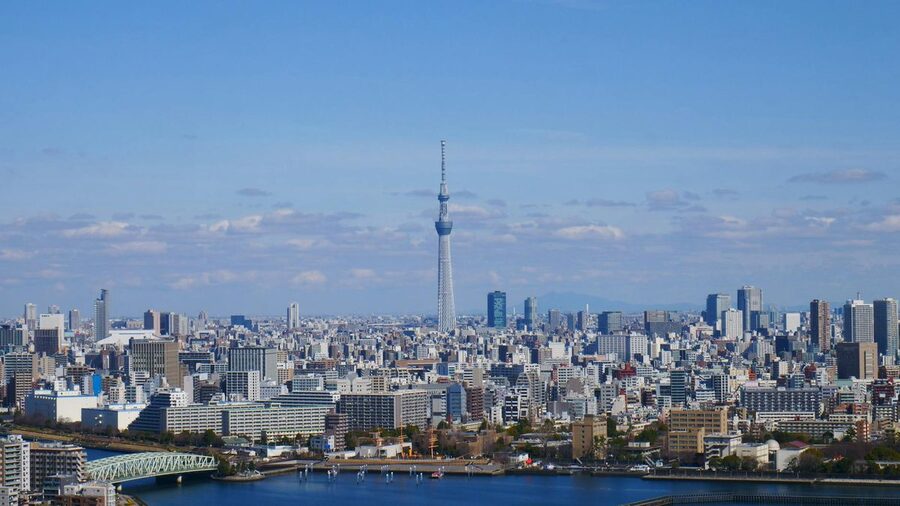 Aerial panoramic view of Tokyo city with Tokyo Skytree tower visible on the skyline