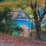 Osaka: Arashiyama Train, Fushimi Inari & Katsuo-ji Day Tour - Practical Aspects and Value