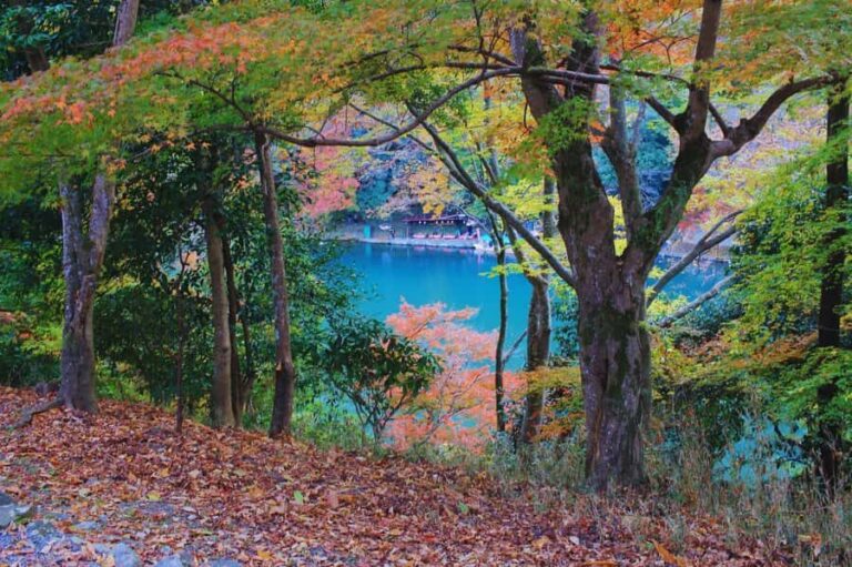 Osaka: Arashiyama Train, Fushimi Inari & Katsuo-ji Day Tour - Practical Aspects and Value  