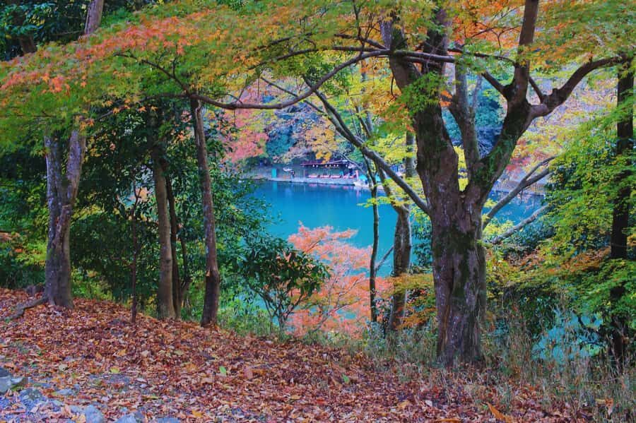 Osaka: Arashiyama Train, Fushimi Inari & Katsuo-ji Day Tour - Practical Aspects and Value  