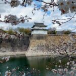Osaka Castle Hidden Gems Walking Tour + Multilingual Audio Guide - Who Should Book This Tour?