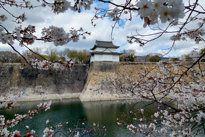 Osaka Castle Hidden Gems Walking Tour + Multilingual Audio Guide - Who Should Book This Tour?
