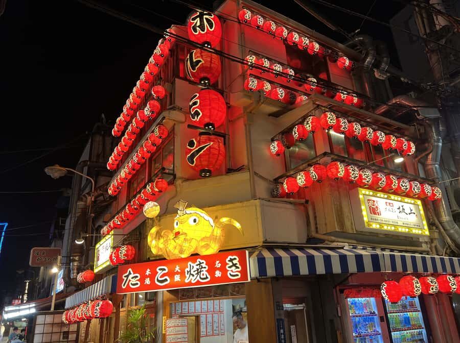 Osaka: Dotombori Food Tour with 13 Dishes - Who Will Love This Tour?