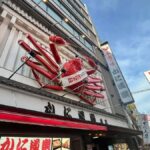 Osaka: From History to Religion and local wonders - The Value of the Tour