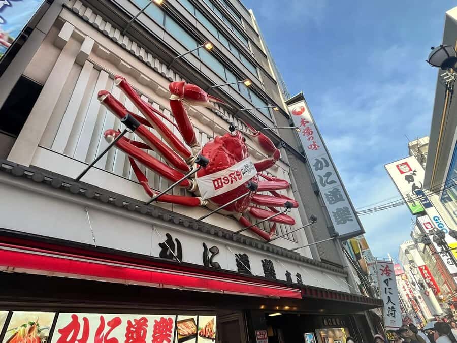 Osaka: From History to Religion and local wonders - The Value of the Tour