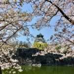 Osaka: Half-Day Private Guided Tour of the Castle - What Makes This Tour Stand Out?
