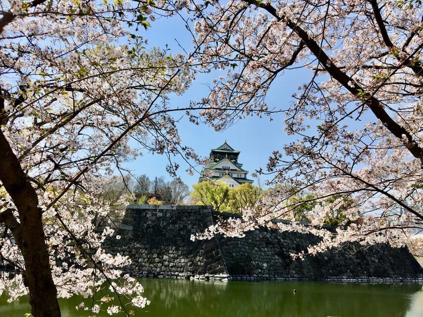Osaka: Half-Day Private Guided Tour of the Castle - What Makes This Tour Stand Out?
