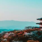 Osaka : Must-see & Hidden Gems Walking Tour - A Closer Look at the Tour Itinerary