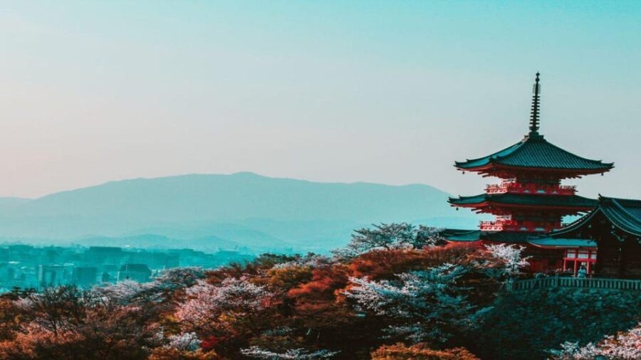 Osaka : Must-see & Hidden Gems Walking Tour - A Closer Look at the Tour Itinerary