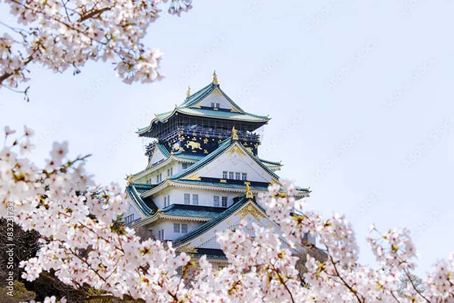 Osaka: Osaka Castle Guided Tour with Local History Expert - Exploring Osaka Castle: What You Can Expect