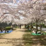 Osaka: Private and Fully Customized Tour with Hotel Meet Up - Why You Should Consider This Tour