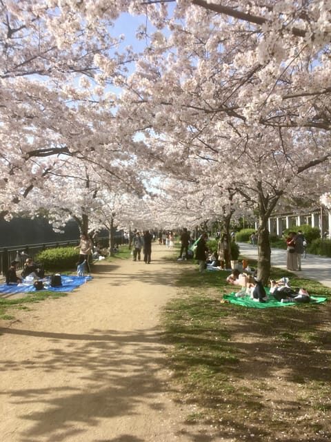 Osaka: Private and Fully Customized Tour with Hotel Meet Up - Why You Should Consider This Tour