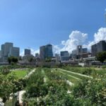 Osaka: Private Walking Tour with a Spanish-Speaking Guide - Detailed Breakdown of the Itinerary and Highlights