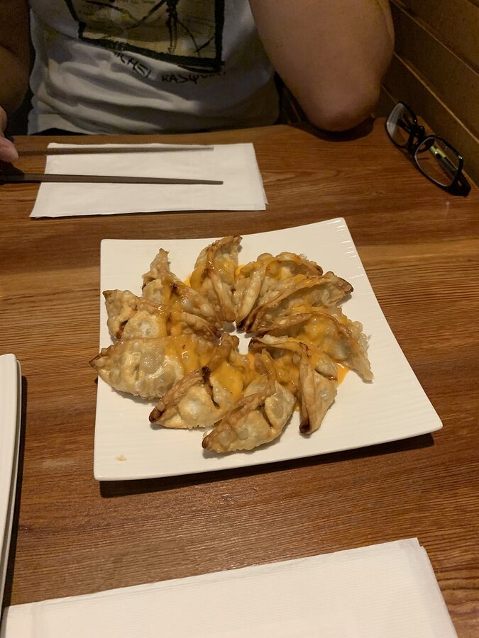 A crispy 10-piece gyoza plate served at a ramen shop
