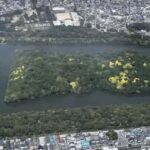 Osaka: Sakai Day Tour with Lunch and Transfers - Final Thoughts