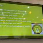 Osaka: Tea Ceremony and Garden Tour with Matcha Workshop - Practical Considerations and Tips