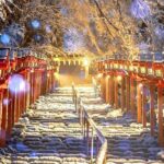 Osaka to Kyoto Arashiyama Bamboo Grove Small Group Tour - What’s Included and What’s Not