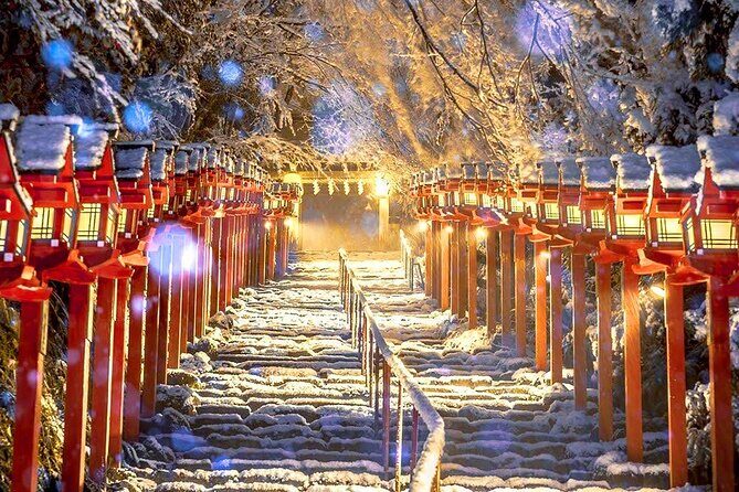 Osaka to Kyoto Arashiyama Bamboo Grove Small Group Tour - What’s Included and What’s Not