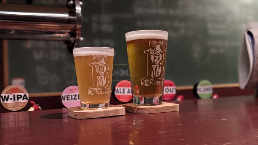 OSAKA : ULTIMATE 5 HOUR HISTORY FOOD WALKING TOUR - The Itinerary in Detail: What to Expect