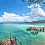 Oslob Whale Shark & Tumalog Waterfalls & Sumilon Sandbar - Authentic Insights from Travelers