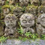 Otagi Nenbutsu-ji & Arashiyama Bamboo Forest Walking Tour - What to Expect from the Tour