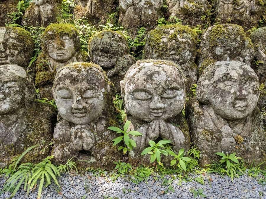 Otagi Nenbutsu-ji & Arashiyama Bamboo Forest Walking Tour - What to Expect from the Tour