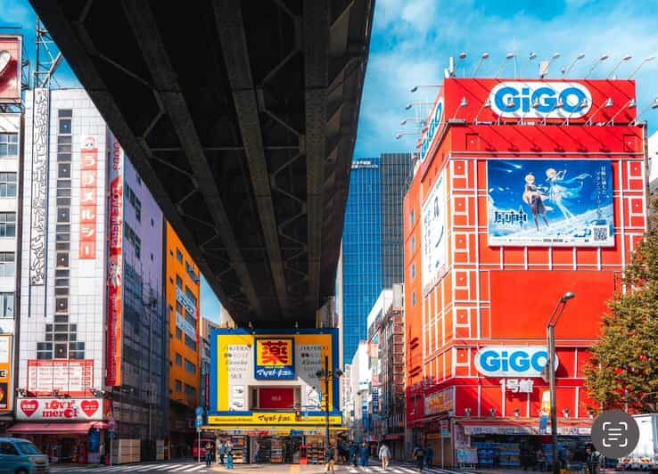 Otaku Tokyo Tour: Akihabara and Nakano Broadway - Who Would Love This Tour?