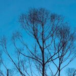 Outdoor and Sightseeing Tour in Ella with Lunch - Discovering Ella: A Deep Dive into the Tour Experience